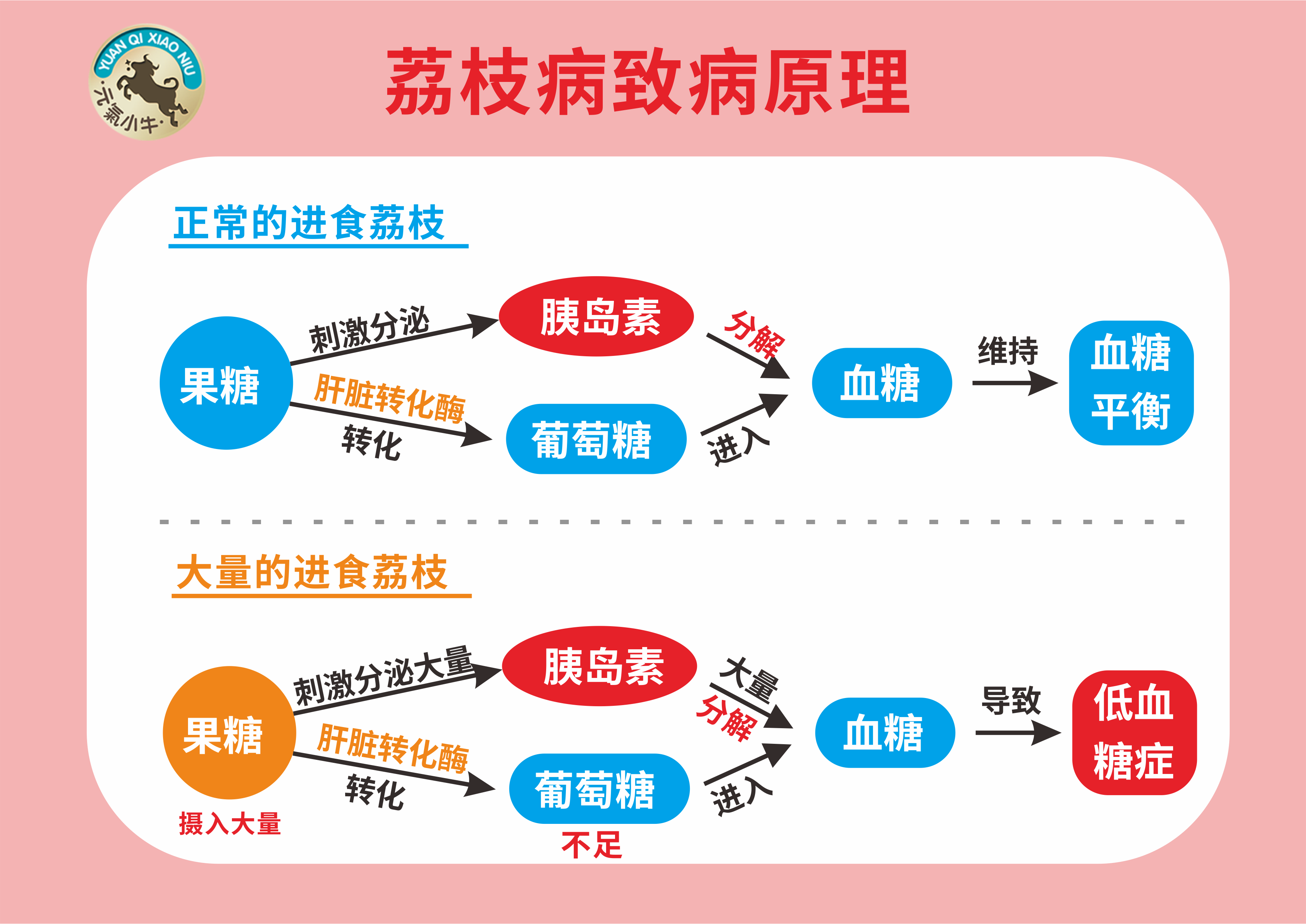 警惕,荔枝吃多了,不仅容易上火,还可能得荔枝病? - 知乎