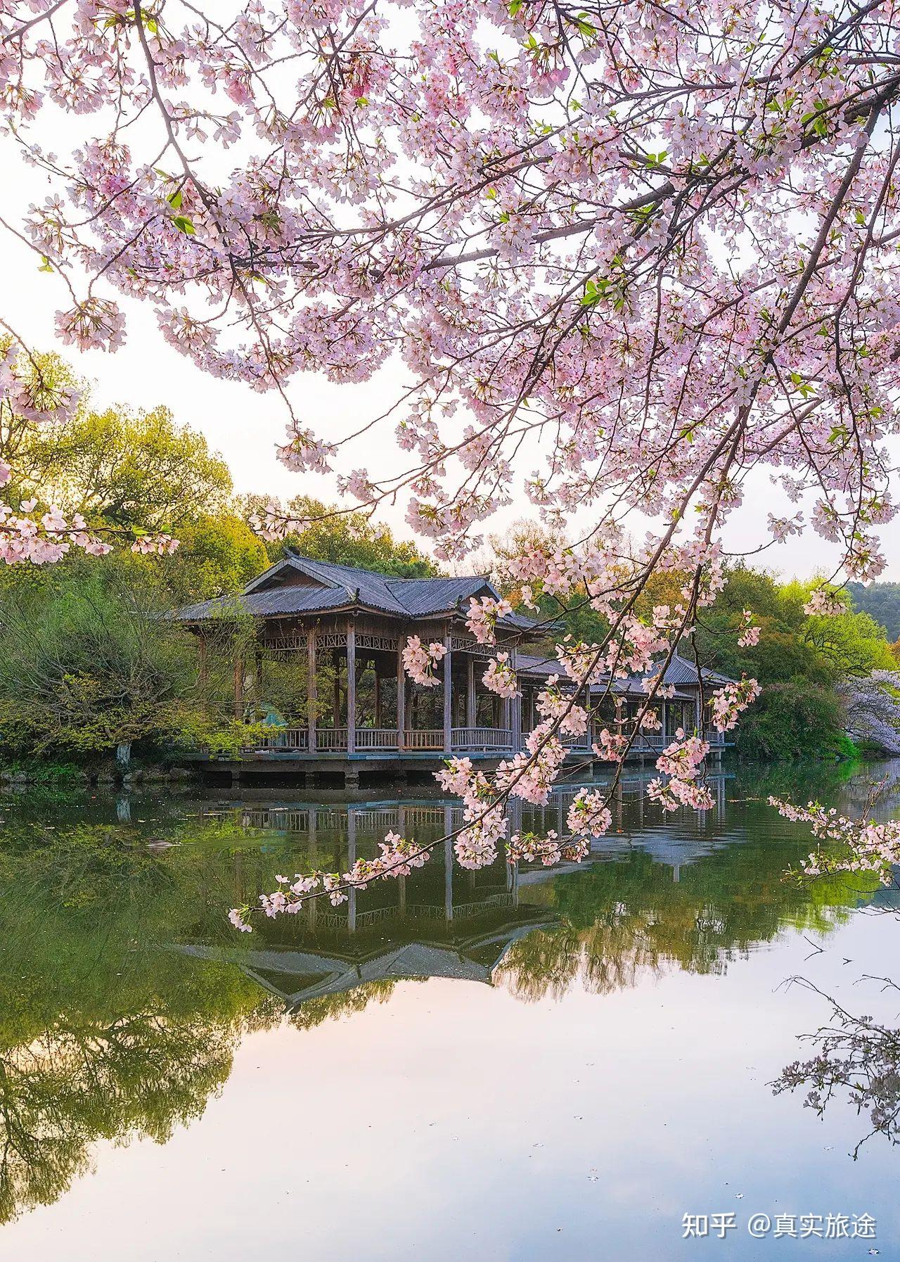 日过三巡春意爽鸟语花香莺歌燕舞桃红柳绿含苞欲放春回大地三月桃花水