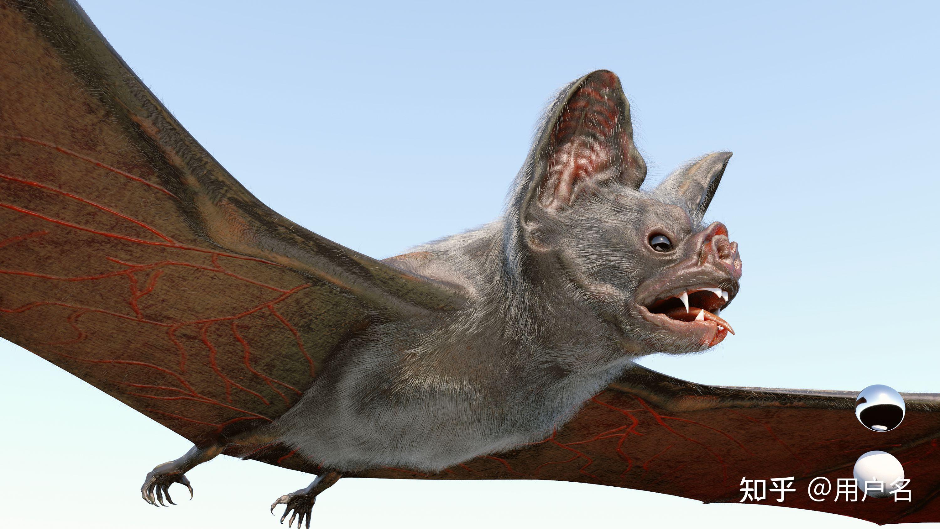 蝙蝠是否能发出正常人能听到的声音? 