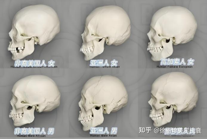 为什么你biu眉弓不好看?听劝!你可能做错了这些... - 知乎