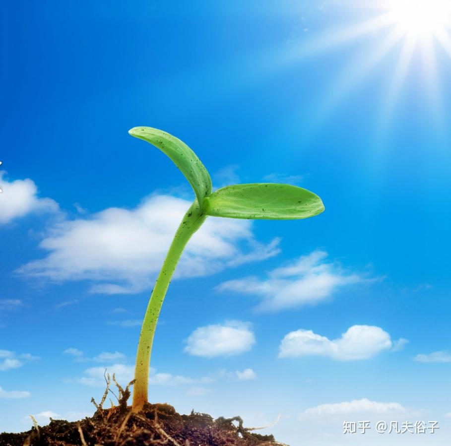 有哪些阳光开朗的头像推荐