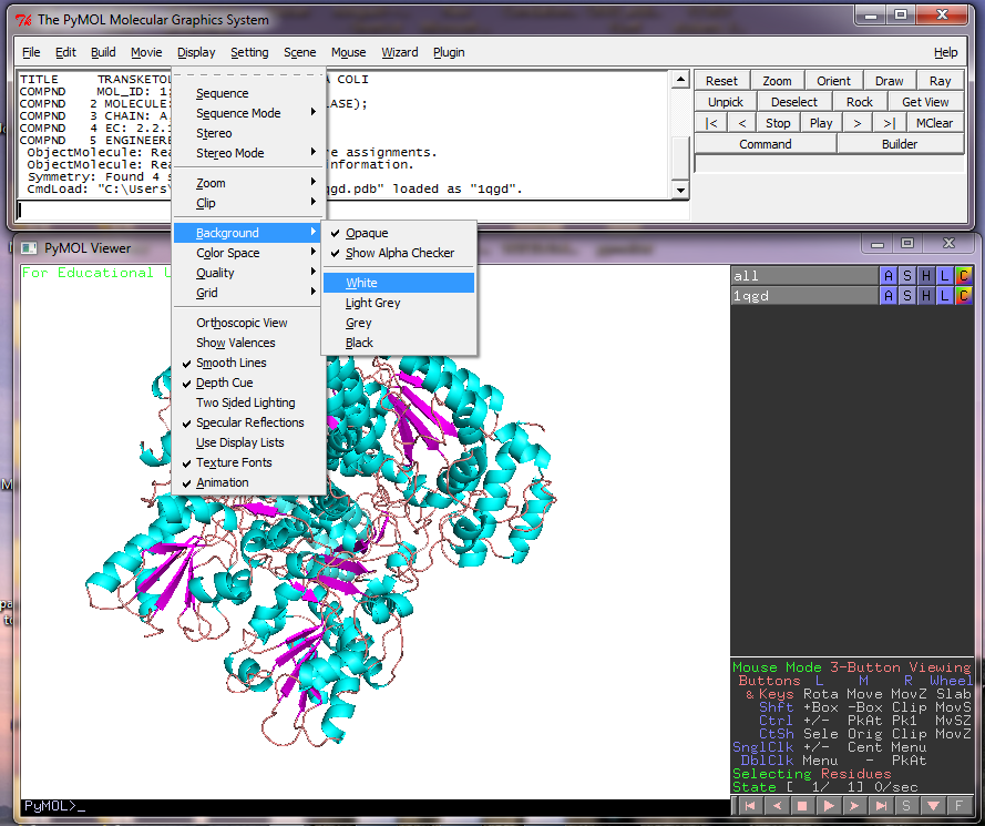 如何用Pymol做出那些美呆的结构图（基础篇） 知乎