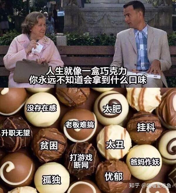 文科生大学学什么专业比较好?