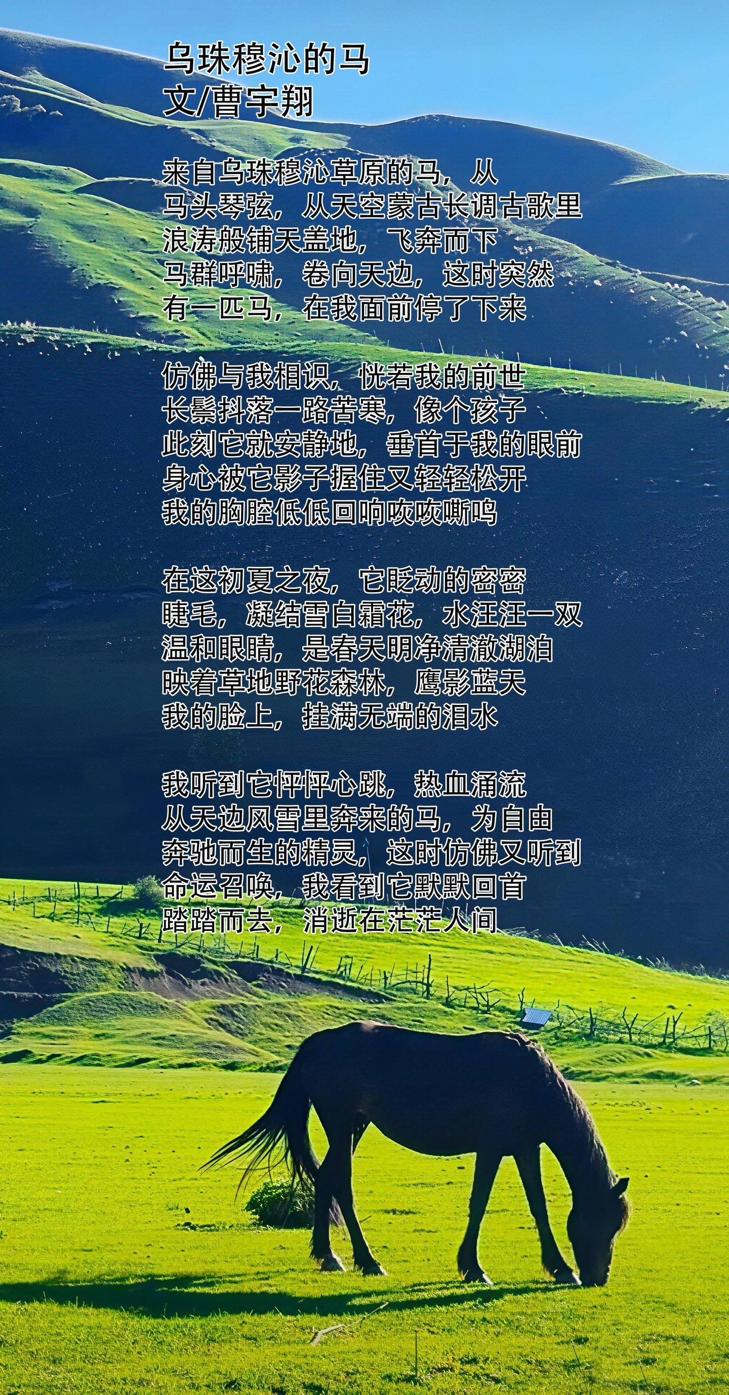 鲁奖诗人曹宇翔诗歌《乌珠穆沁的马》赏析