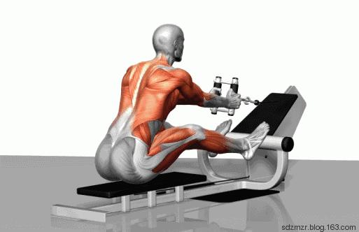 在健身房怎样自己练?