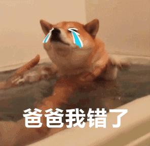 和别人聊天的时候,再也不怕没有表情包斗图啦!百战百胜!