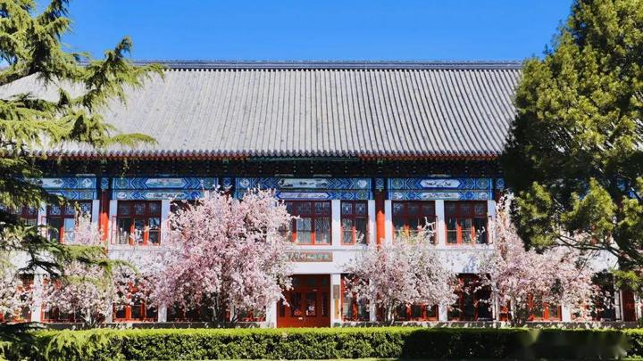 2026年强基计划审核结果何时公布 - 知乎