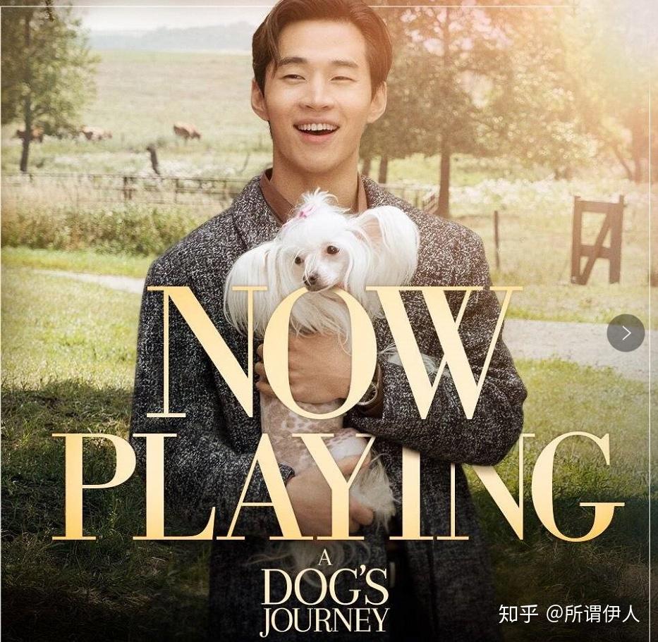 如何评价刘宪华在一条狗的使命2中的表现?