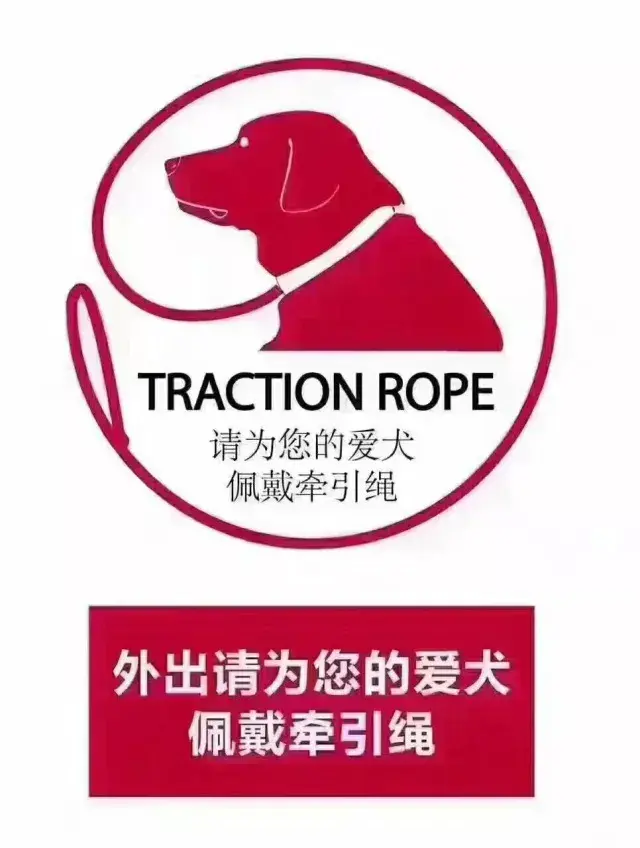 中国式遛狗貌似给它自由实则害了它