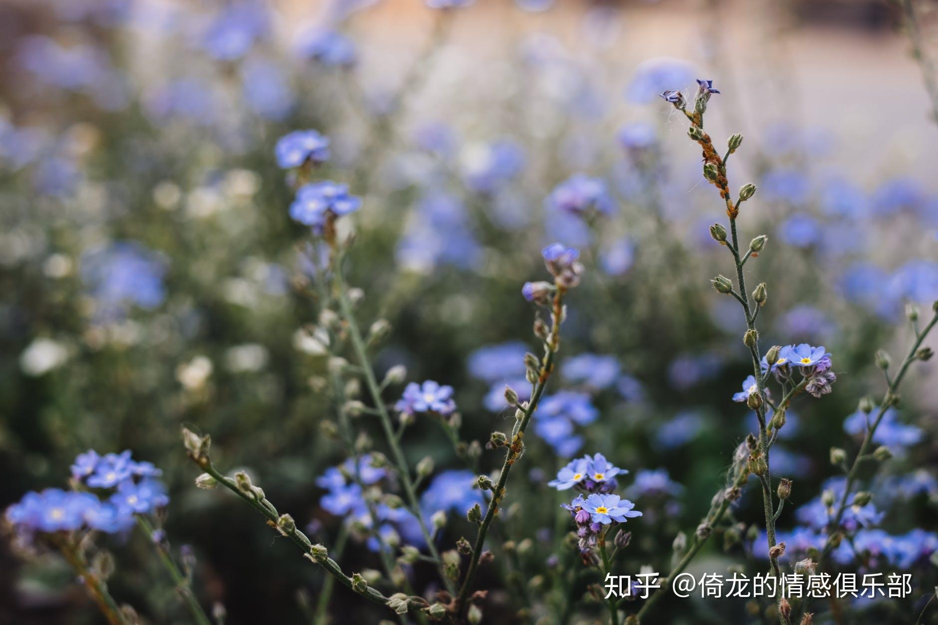 真正的精致的人都有这五个特征 v2-ba8e96861400ec4bbf732e0484fa9034_r.jpg