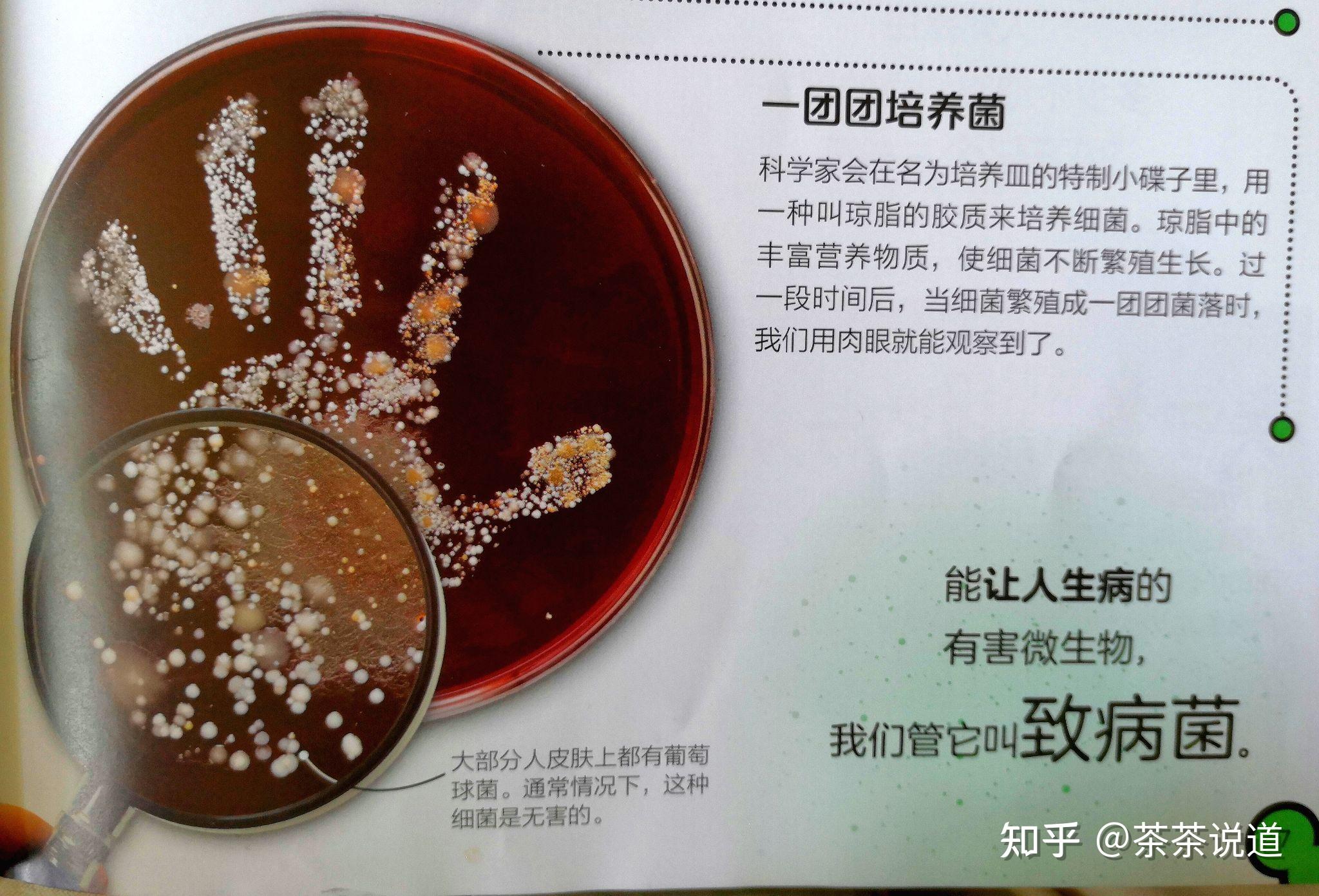 618大促快要到了,有哪些值得入手的绘本可以推荐?