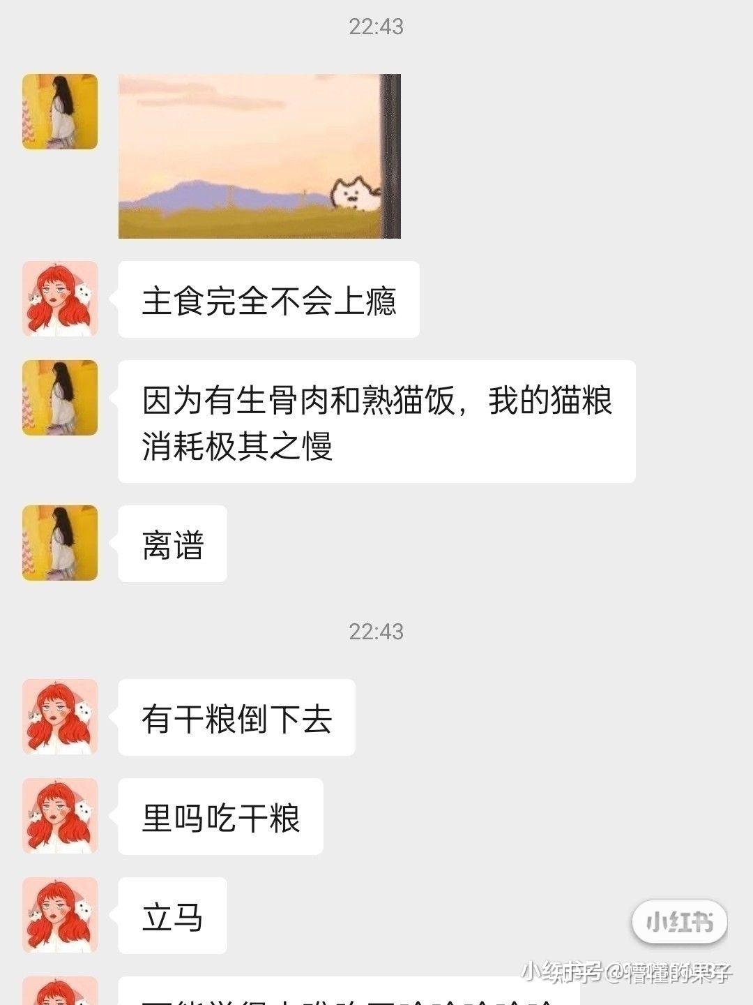 养猫交流群 - 知乎