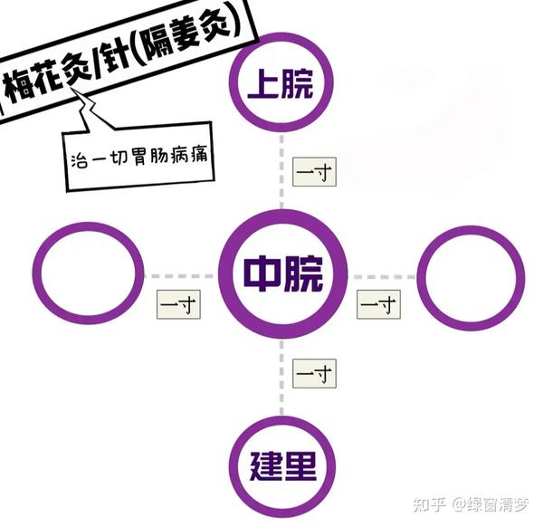 倪海厦针灸课笔记(05)- 任脉之水分、下脘、中脘、巨阙及基本补泻手法 - 知乎