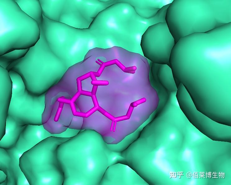 分子对接（molecular docking）技术介绍 - 知乎