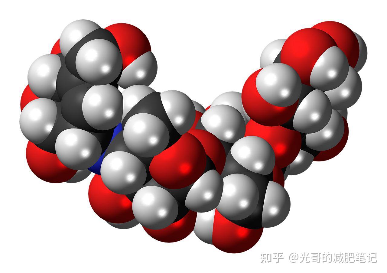 脂肪酶可以水解体内脂肪但为什么医生都不建议摄入脂肪酶来减肥呢
