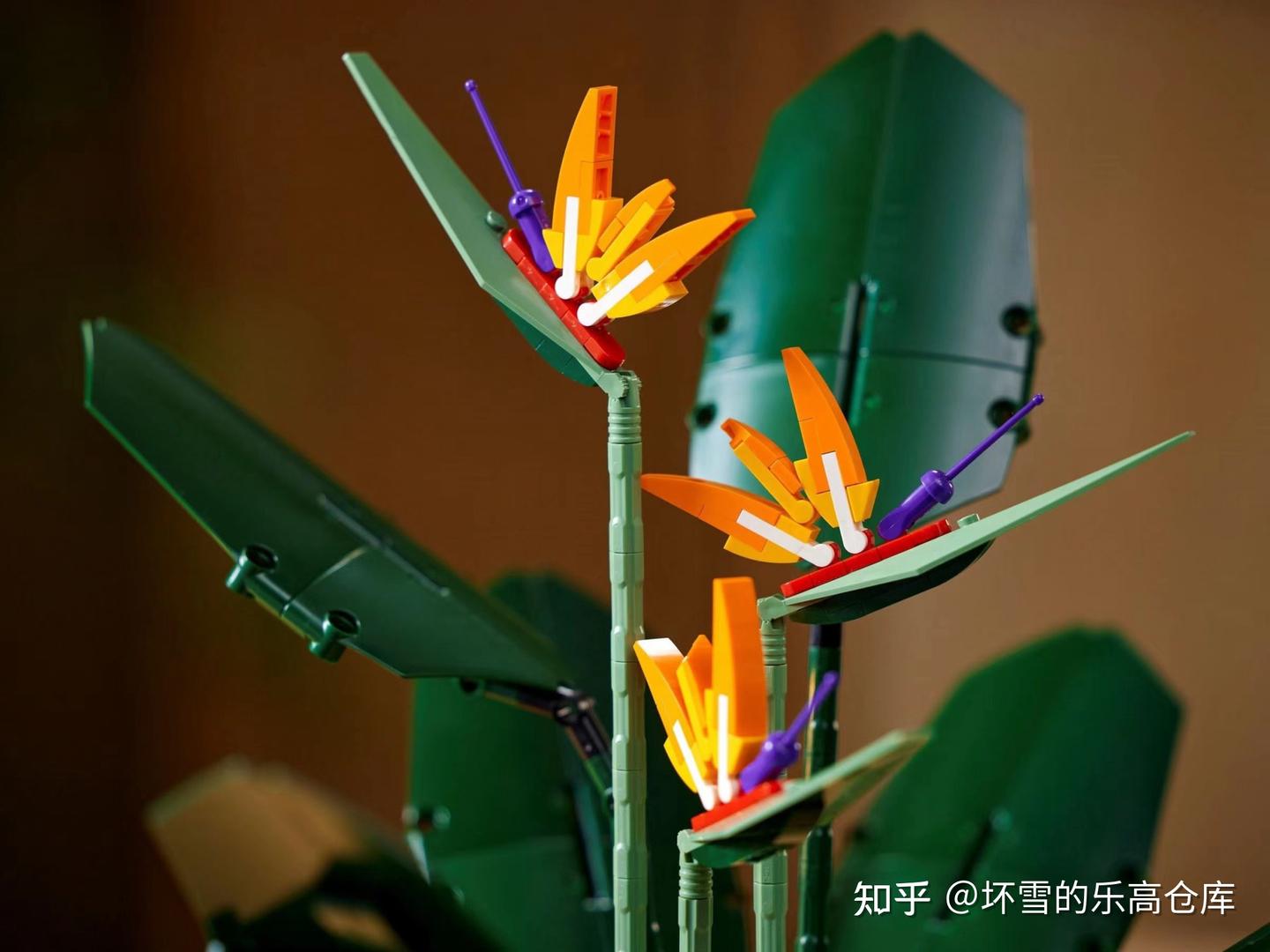 植物系列最佳,不输爆款花束!乐高10311兰花测评 - 知乎