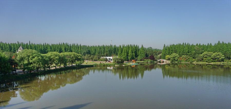 崇明岛的胜景下竟还有一个崇明岛紫竹园