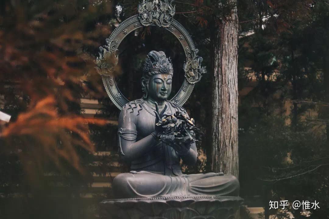 普缘法师开示语录慧生长寿 | 编