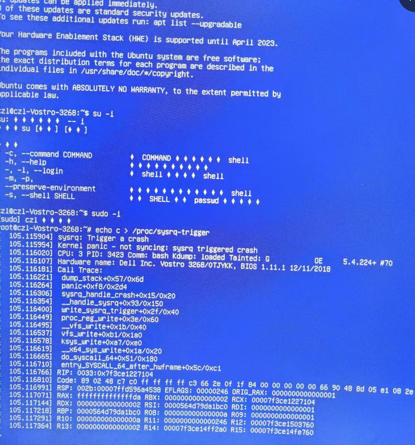 Linux panic 