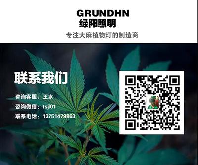 美国 超级星期二 选举落定 将对大麻造成何种影响 知乎