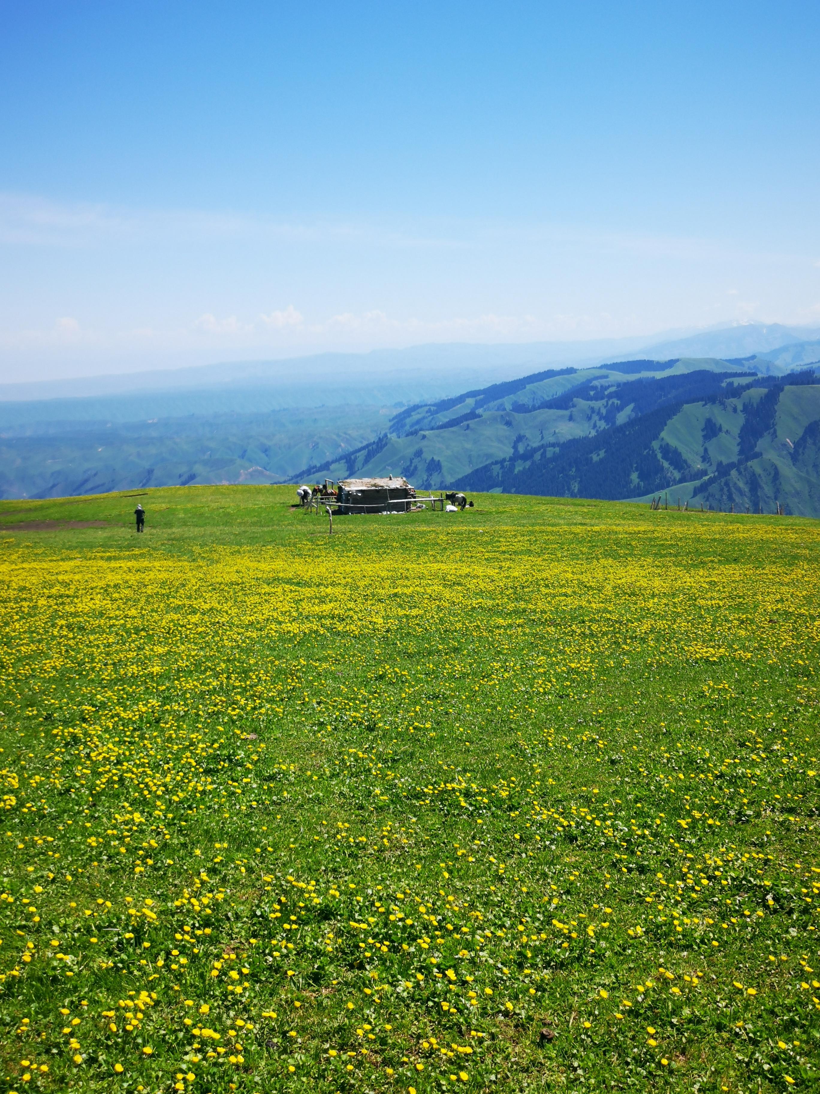 想在新疆旅游有没有什么推荐的路线