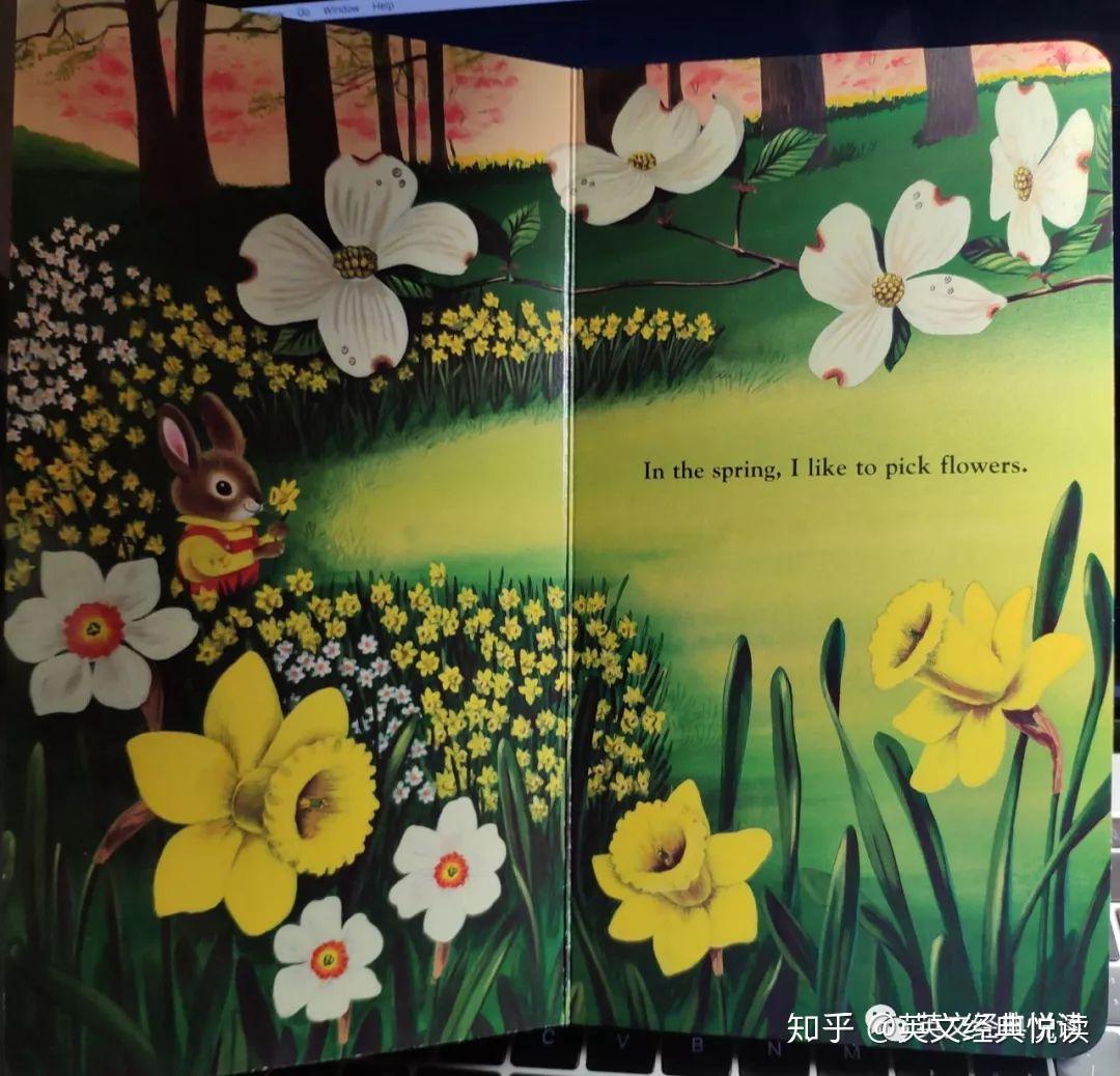经典英文绘本I am a Bunny - 知乎