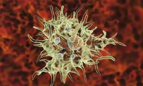 稳定性次氯酸治疗棘阿米巴性角膜炎