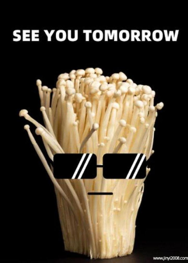 金针菇为什么叫see you tomorrow - 知乎