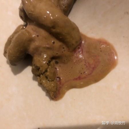 猫咪血便 拉稀 在家乱大便尿尿 来家里不到一个月 目前打了四合一疫苗