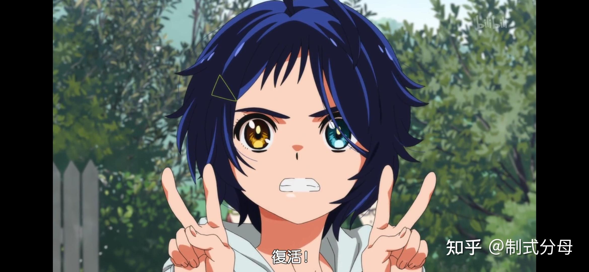 如何评价2021年1月新番《奇蛋物语》第十三集(6月29日播出的特别篇)?