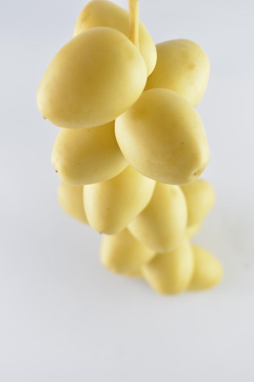 3. 核苗养护指南