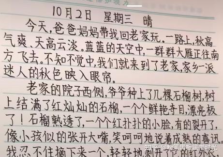 二年级小学生写字作业 字好看成绩拔尖 老师 写好字很重要 小学生写的字太漂亮 恩芝网