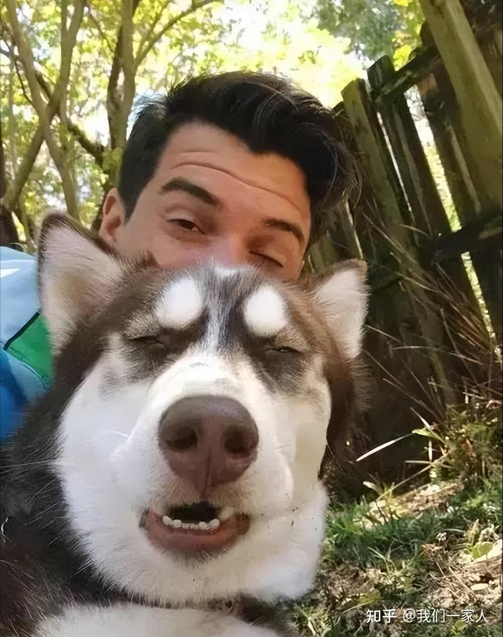 狗狗"喜欢你"和"不喜欢你"的区别,过来人告诉你,有很大不同 - 知乎