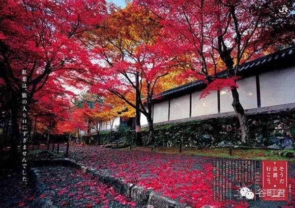 秋天该去日本哪里赏红叶 让京都自己告诉你吧 知乎