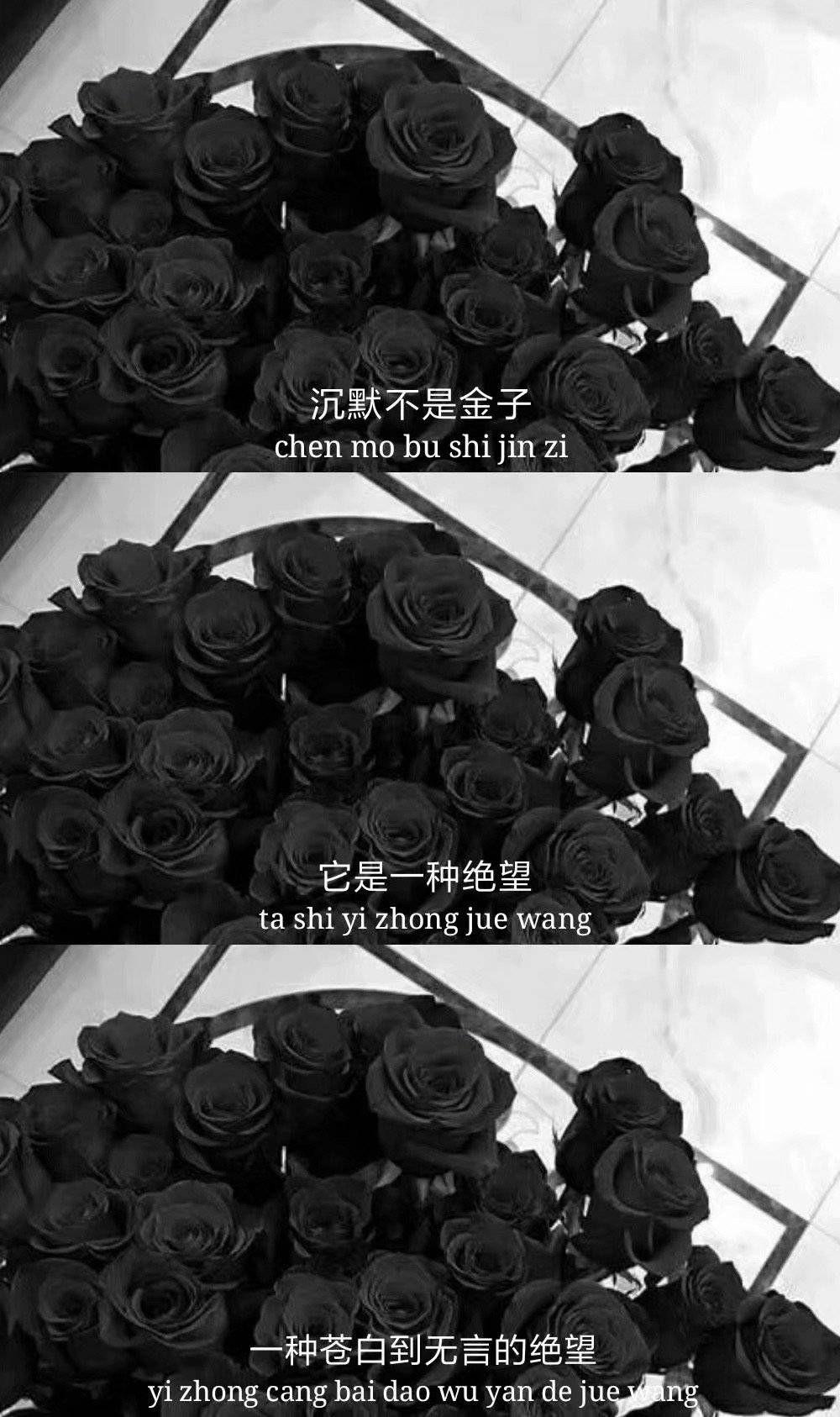 你有哪些比较丧的壁纸? - 知乎