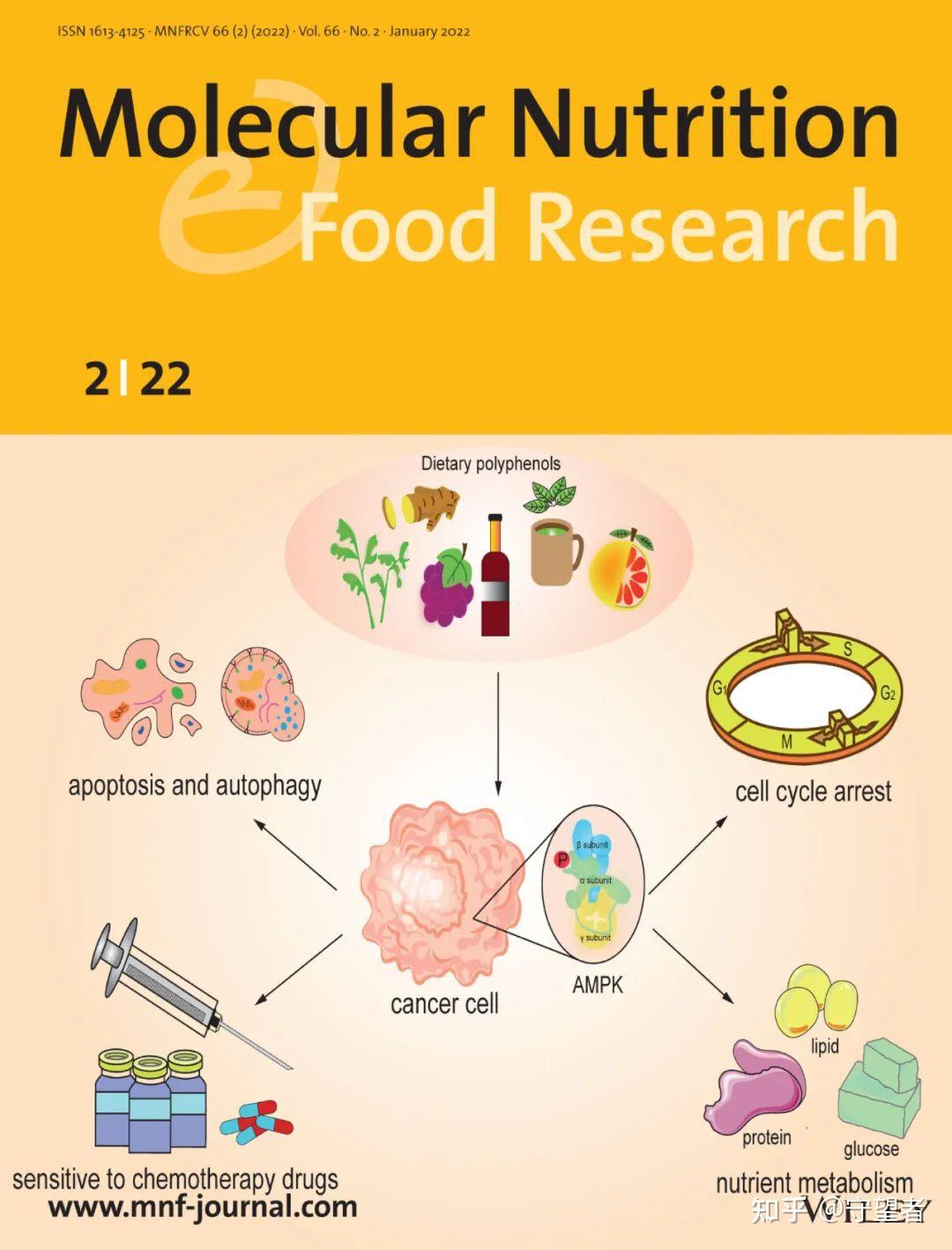 MOL NUTR FOOD RES封面综述：膳食多酚靶向AMPK信号通路来预防癌症 知乎