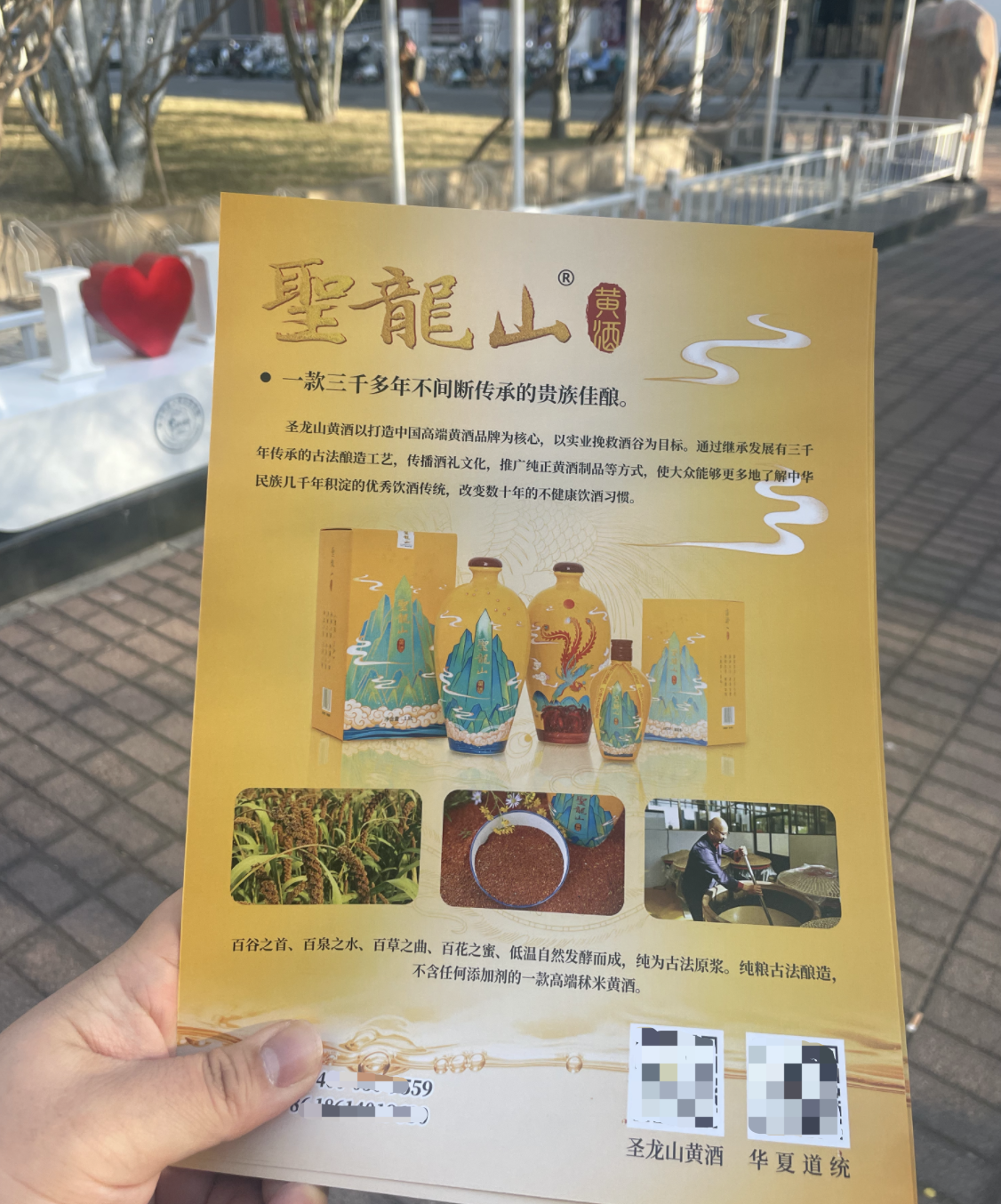 如何设计好一张传单？ - 知乎