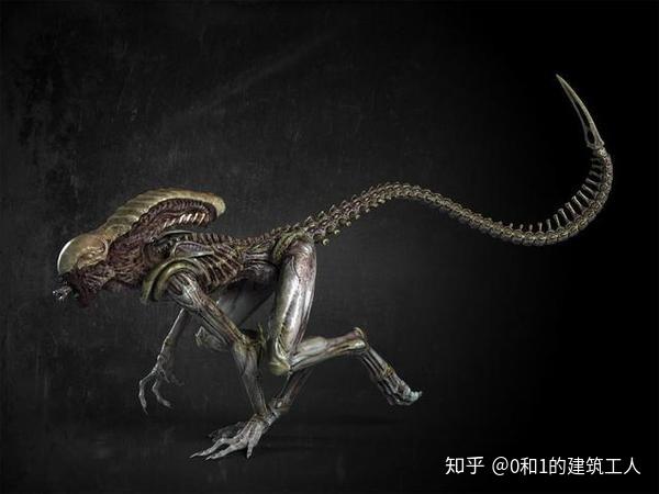 11种「异形型态」大回顾 铁血战士 武器介绍 这些类型的外星生物都