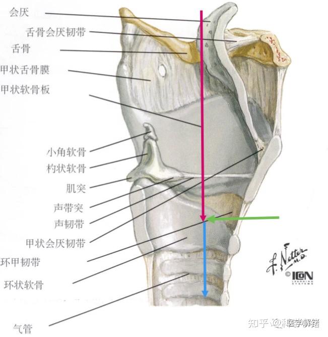 有哪些事情听起来危险但实际上很安全? - 知乎