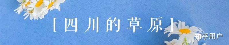 四川旅游攻略?