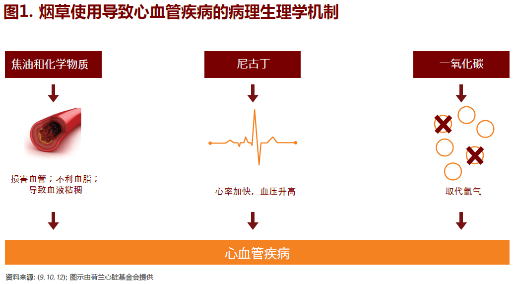 v2-bb4f4fe68a5d4ffe36313e96906955f4_r.jpg
