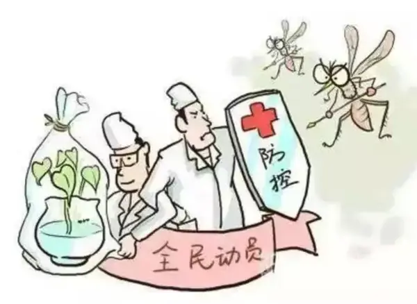 雌蚊子吸血雄蚊子吃什么