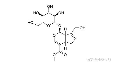 栀子（中药材资料、植物图像、化学结构、含栀子的中成药） - 知乎