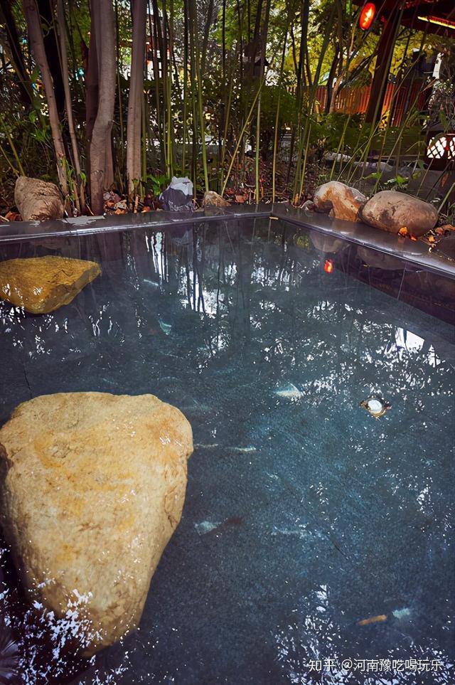 鲁山-昭平湖森林温泉