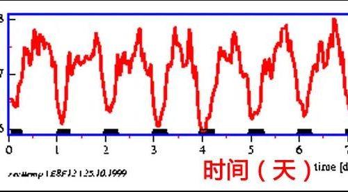 导致体温偏低发热8大因素 怎么科学升温 知乎 导致体温偏低发热8大因素 怎么科学升温 知乎