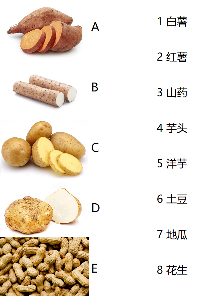 白薯红薯和地瓜到底有什么区别