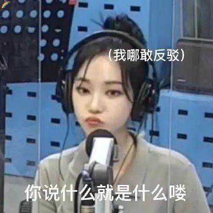 表情包柳智敏沙雕系列