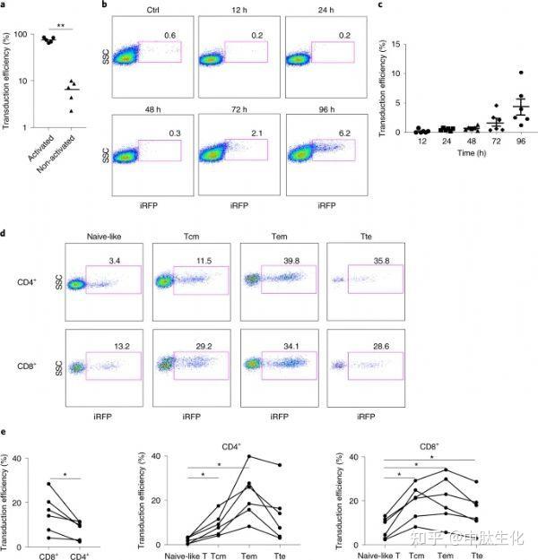 Nature Biomedical Engineering科学家开发快速制造非激活的有效car T细胞技术 知乎 1269