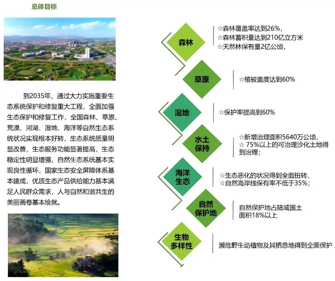 生态环境质量明显改善——我市近年生态保护修复工作掠影_韶关发布