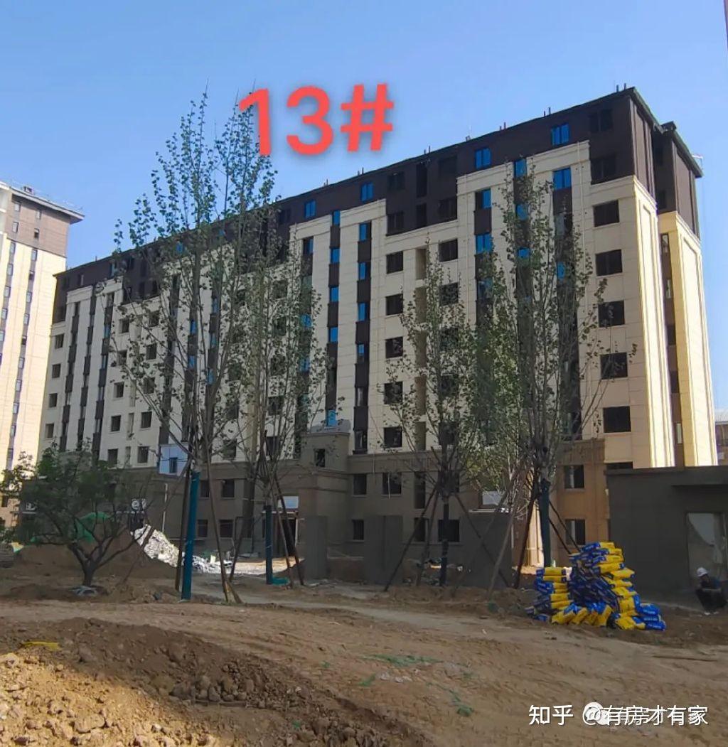 龙湖熙悦宸著怎么样之前看过电建洺悦湾没买现在也纠结新城熙红印求